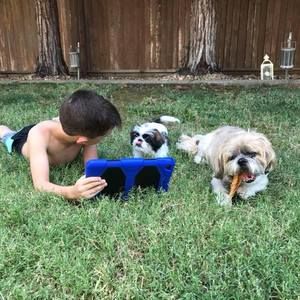 Meet your Posher, Sibel